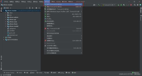 web安全 靶場(chǎng)搭建 ofcms搭建